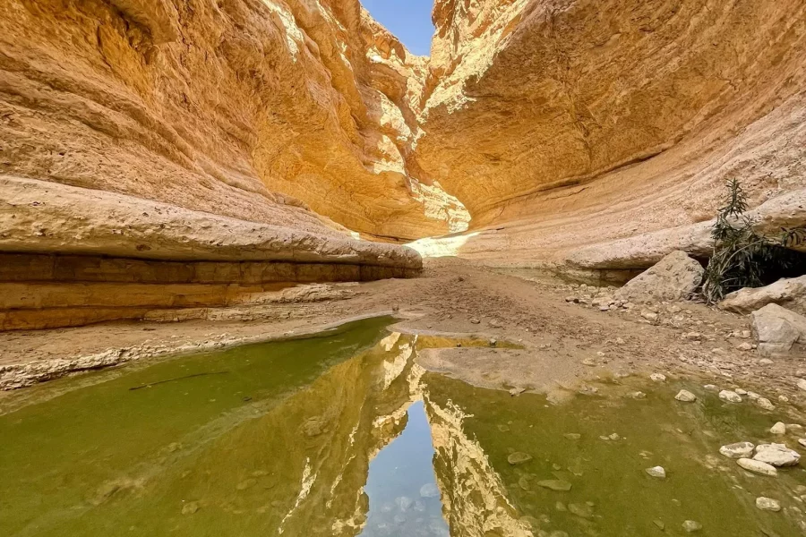 Oasis de Tamerza